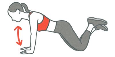上半身を鍛える膝付き腕立て伏せを行う女性（初心者向け筋トレ）