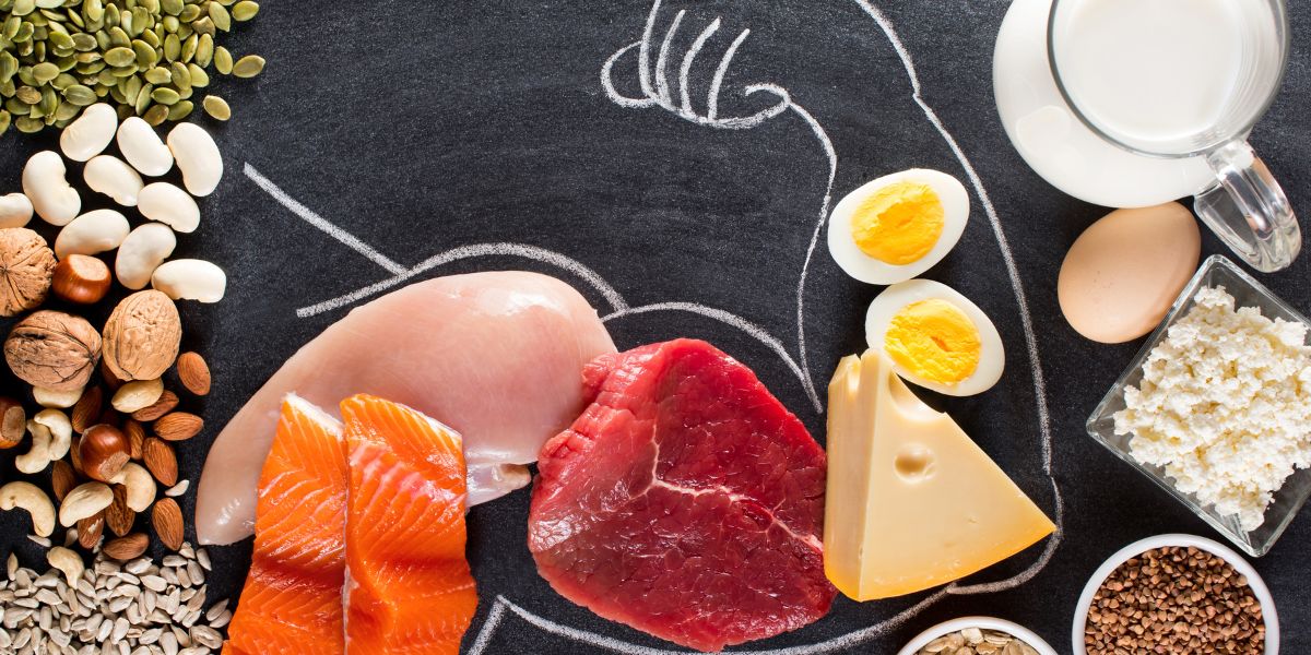 タンパク質食材(肉・魚・卵・乳製品・豆類)と力こぶのイラスト。40〜50代女性が筋トレと食事をセットで続けるまとめ。